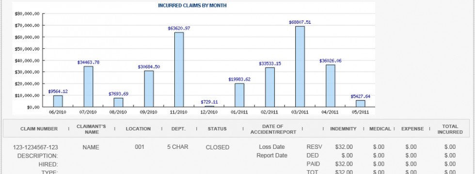 Workers Compensation Insurance Loss Run Report