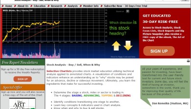 Selective Chartists Home Page Flash Presentation